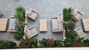 Brise vue naturel avec plantes pour délimiter des espaces et créer des espaces cosy végétalisés 