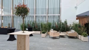 Location de plantes vertes pour événement professionnel Lille et Hauts-De-France
