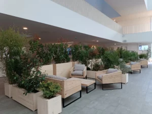 Création d'espaces avec assises en bois et plantes