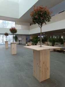 mange debout avec plantes en location 