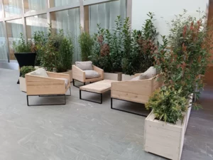 Coin cosy plantes pour séminaire et événement d'entreprise