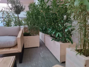 jardinières de plantes pour événement