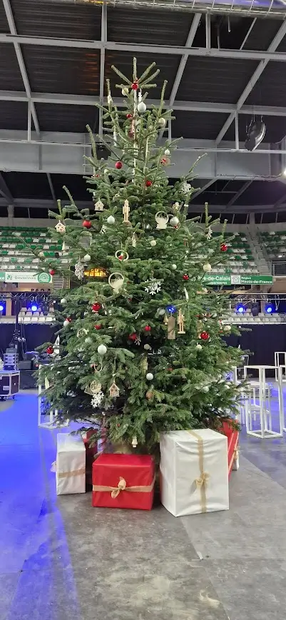 Grand sapin naturel décoré en location pour les fêtes de noël en entreprise ou pour événement