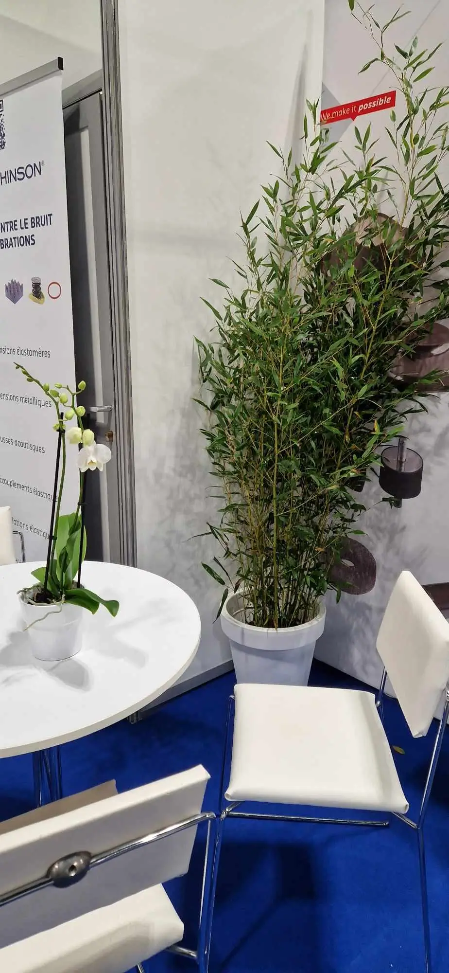 Plantes en location, bambou et plante fleuri, orchidées, pour salon, foire, événement professionnel sur Lille, Douai, Valenciennes.