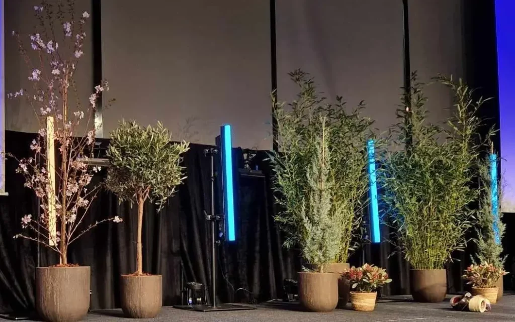 Location de plantes pour scène, décoration derrière pupitre pour conférence, voeux du maire, discours, prise de parole dans le Nord