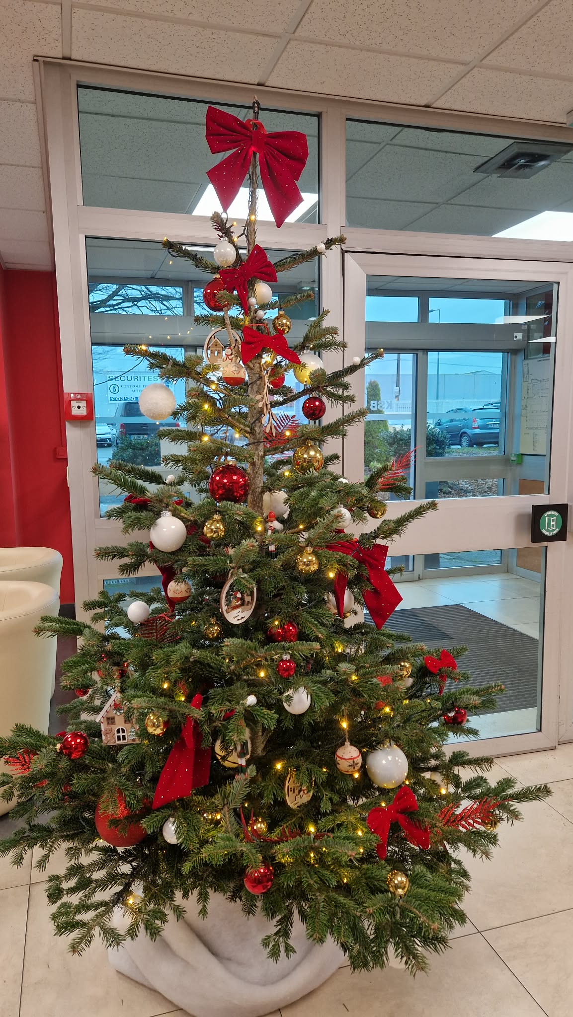 Location de sapin de noël entreprise